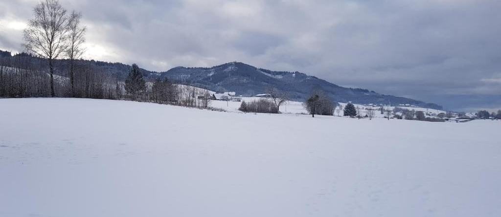 modernes Appartement Schwarzwald Nähe Freiburg, 温登伊姆埃尔茨塔尔 — 照片 1