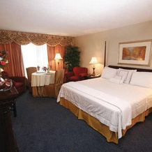 Point Plaza Suites at City Center, 纽波特纽斯 — 照片 4