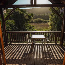 Thunzi Bush Lodge, Эйтенхахе — фото 2