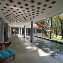 The Birchwood Retreat Coorg, Сунтикоппа — фото 5