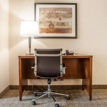 Comfort Inn & Suites Hamburg - Buffalo South, Гамбург — фото 5
