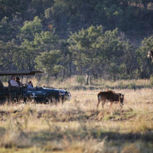 Matingwe Lodge, 瓦尔瓦特 — 照片 4