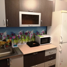 Sutki Kak Doma Na Botanicheskaya 45 Apartments, Minusinsk — photo 4