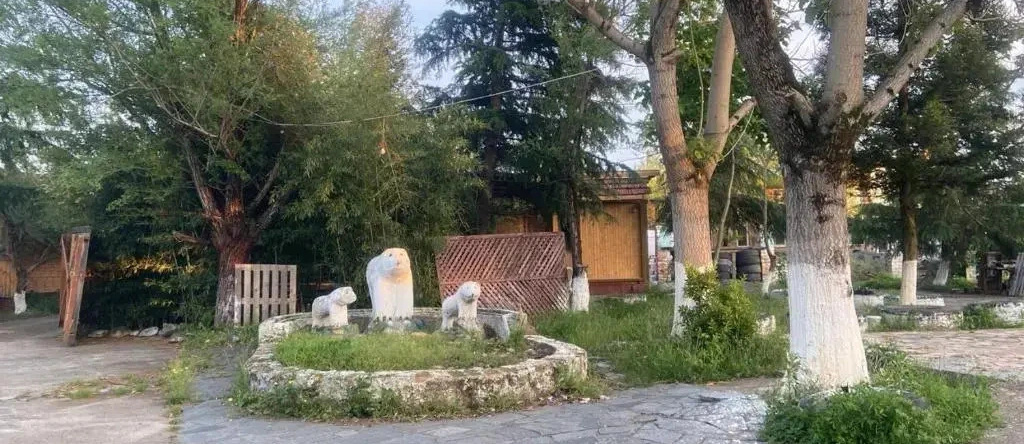 Kopitnari, Кутаиси — фото 1