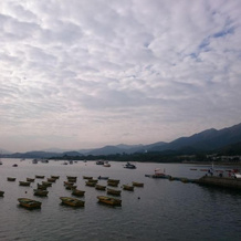 Tai Po YHA Bradbury Jockey Club Tai Mei Tuk Yout, 大埔 — 照片 5