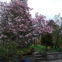 Ferienwohnung-der-Familie-Thierse, Stolpen — photo 3