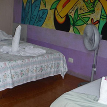 Miss Miriam Beachfront Cabins, 托尔图格罗 — 照片 3