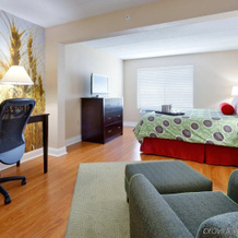 Hotel Trilogy Albany Airport, Tapestry Collection By Hilton, Латем — фото 4