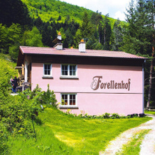 Apartment in Alsace With Nature Retreat, Dabo — photo 3