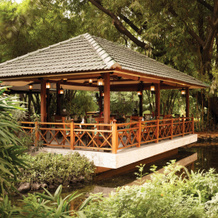 The Oberoi, Bengaluru, 班加罗尔 — 照片 5