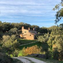 Apartamentos Rurales La Macera ****, 阿尔坎塔拉的巴伦西亚 — 照片 3