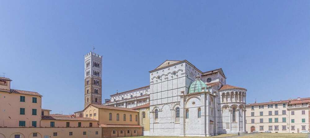 Villa Lavandaia Toscana, 马萨罗萨 — 照片 1