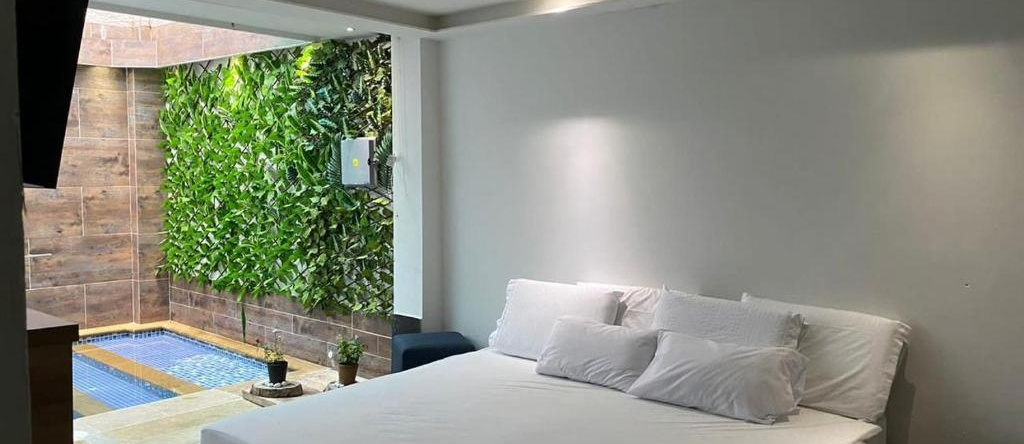 Hotel River Suite, Летиция — фото 1