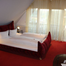 Parkhotel Krone, Emmendingen — photo 4