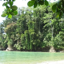 El Tucan Jungle Lodge, 科克莱斯 — 照片 4