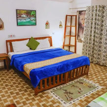 Sariska Jungle Camp, 阿尔瓦尔 — 照片 5