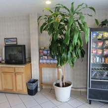 Town House Inn Cape Giradreau, Кейп-Жирардо — фото 4