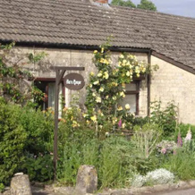 Barn House B & B, Corsham — photo 2