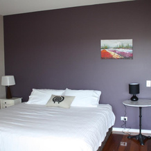 Killarney Beach House, Килларни — фото 5