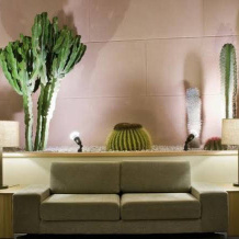 Playa Calera Suite, Valle Gran Rey — photo 2