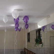 Jeskó Panzió, Zirc — photo 4