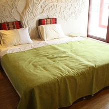 Hotel South East Asia Etnomir, 彼得罗沃 — 照片 5