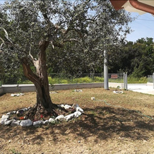B&B Terra Luna, Cicerale — photo 4