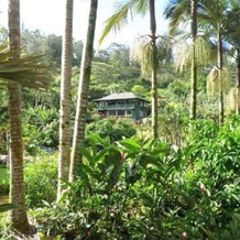 Nohonani - 1 Br Home, Wainiha — photo 5