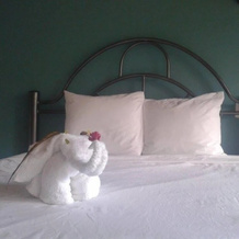 Hotel D'Lucia, 克夫拉达加纳多 — 照片 4