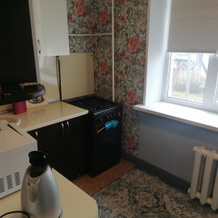 Tryoshka Na Kirova 7 Apartments, 特廖赫戈尔内 — 照片 5