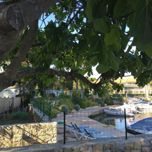 Camping les Cigales, Mandelieu-La-Napoule — photo 4