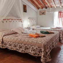 Agriturismo Corboli, 韦尔尼奥 — 照片 3