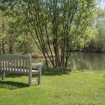 Laurel Lodge Kingfishers, Эрл-Сохем — фото 2