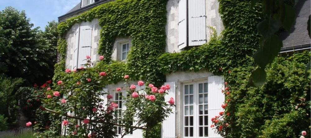 Le Presbytère - Chambres d'hôtes, 库尔比宗 — 照片 1