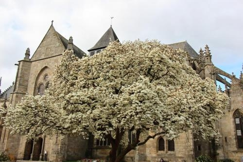 La Tocade Del Arte - Dinan, Ланвалле — фото 1