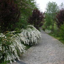 Cascina nel bosco, 马伦蒂诺 — 照片 3
