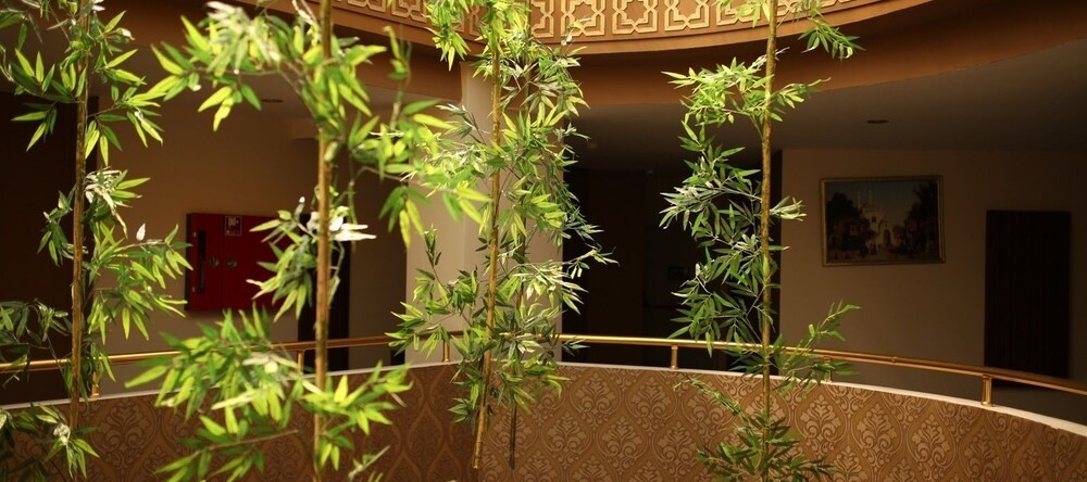Hedef Dag Hotel Termal and Spa, 格尔门吉克 — 照片 1