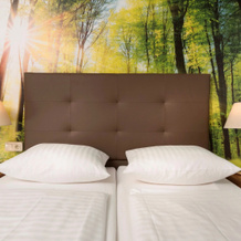Ahorn Waldhotel Altenberg, 阿尔滕贝格 — 照片 3