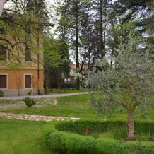 Villa Anita Guesthouse, 龙基代莱焦纳里 — 照片 4