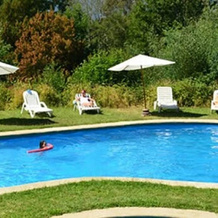 Cabañas Altos Del Lago, Вилларика — фото 4