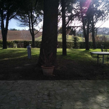 Villa Nunzia, Cupramontana — photo 3