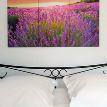 Etoilevacances Chambres d hotes Campagne en Lavande, 锡亚涅河畔圣塞泽尔 — 照片 3
