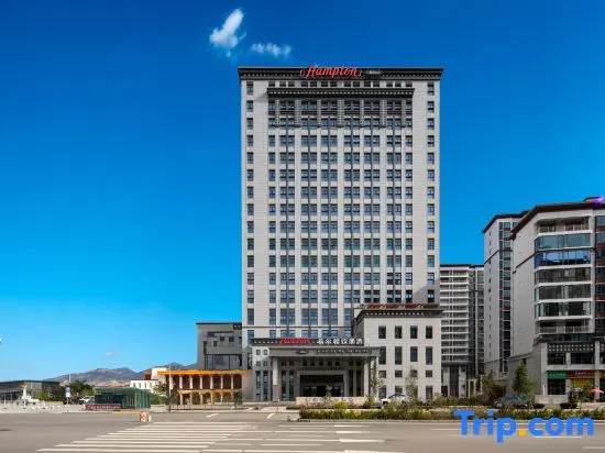 Hampton By Hilton Shannan, Недонг — фото 1