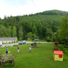 Pension Valea Negrasului, Валеа-Дофтаней — фото 5