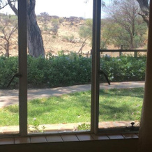 Düsternbrook Guest Farm, 温得和克 — 照片 4