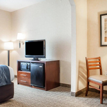 Comfort Inn & Suites Hamburg - Buffalo South, Гамбург — фото 3