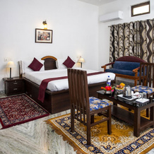 Narayan Niwas Resort, Udaipur — photo 5