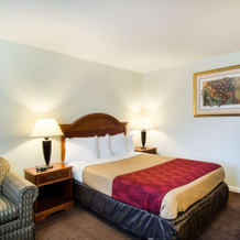 Econo Lodge Inn & Suites, Нортборо — фото 2