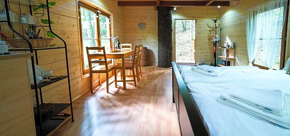 Treehouse Zlatá Koruna, Zlata Koruna — photo 1