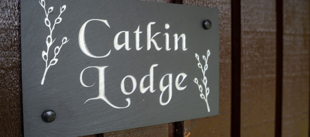 Catkin Lodge Set In A Beautiful 24 Acre Woodland Holiday Park, Сенарт — фото 1